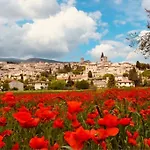 度假居 Porta Fontevecchia Panoramica 斯佩洛